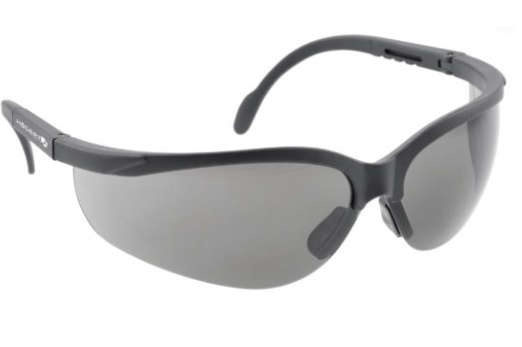 MAINZ aizsargbrilles, tumši stikli