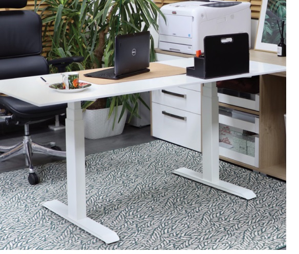 Augstumā regulējams galda rāmis GOTTFIRD, krāsas dažādas